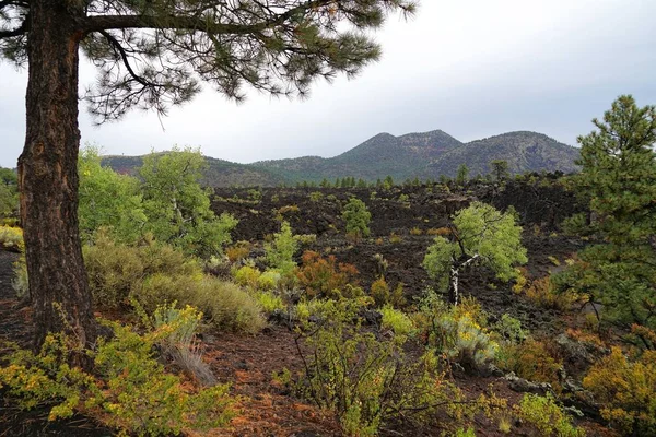 Para Fora Aproximadamente Monumento Nacional Vulcão Cratera Por Sol Arizona — Fotografia de Stock