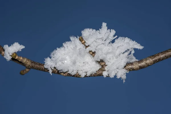 Rime Piękne Kryształy Zbliżenie Zrobione Soczewki Makro — Zdjęcie stockowe