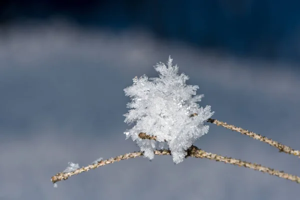 Makro Mercekle Yakın Plan Çekilen Güzel Kristaller Içinde Rime — Stok fotoğraf