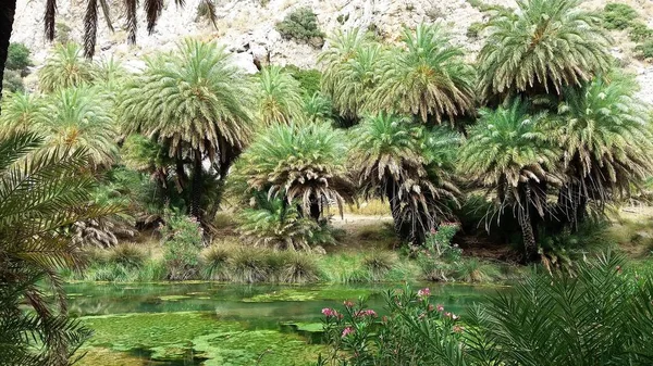 Hermosa Vista Del Parque — Foto de Stock