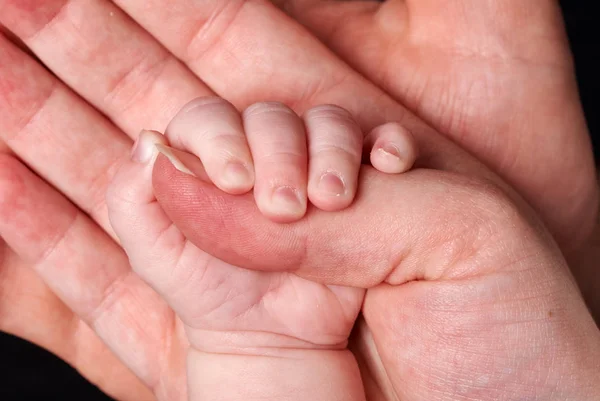 Baby Hand Houden Door Volwassene — Stockfoto