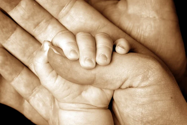 Baby Χέρι Εκμετάλλευση Από Ενήλικα — Φωτογραφία Αρχείου