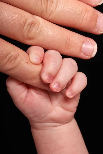 Baby Hand Holding Adult — Stock Photo, Image