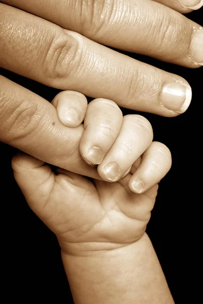 Baby Hand Holding Adult — Stock fotografie