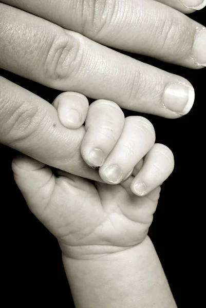 Baby Hand Innehav Vuxen — Stockfoto