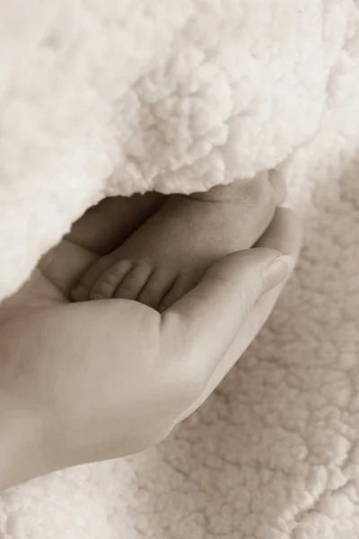 Noha Dítěte Matčině Ruce — Stock fotografie
