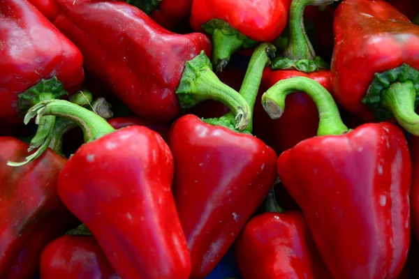 Roter Paprika Auf Dem Wochenmarkt Spanien — Foto de Stock