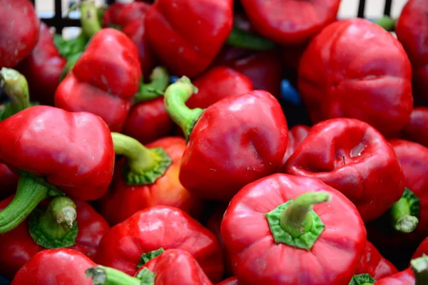 Roter Paprika Auf Dem Wochenmarkt Espanhol — Fotografia de Stock