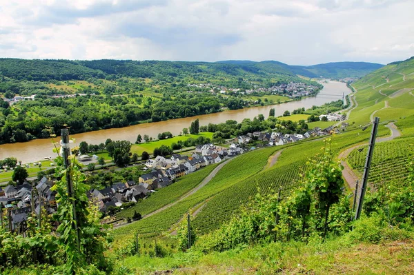 Wine Places Graach Left Wehlen Bernkastel Mosel Summer — Stock Photo, Image