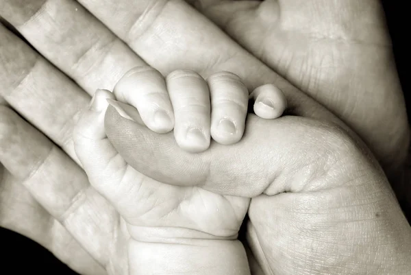 Baby Hand Holding Adult Stock Picture