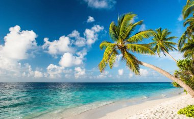 lonely beach in the maldives clipart