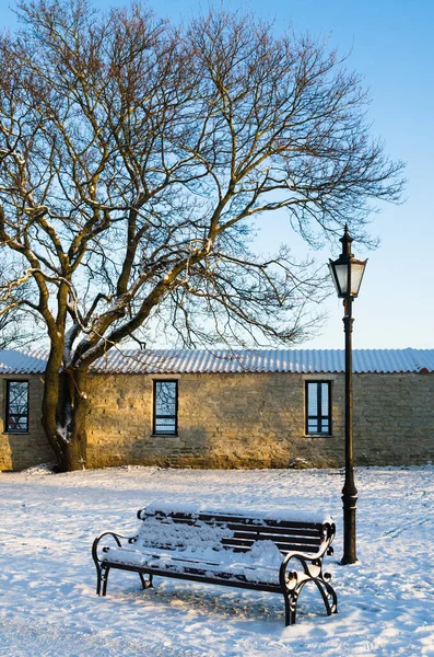 Banco Lâmpada Rua Inverno Parque Old Tallinn — Fotografia de Stock