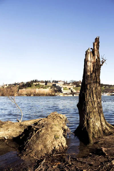 Δες Στο Φρούριο Kalemegdan Από Τον Ποταμό Σάβα Ακτή — Φωτογραφία Αρχείου