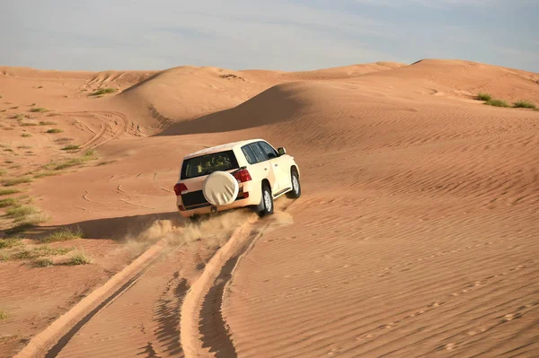 Der Wüste Von Dubai — Stockfoto
