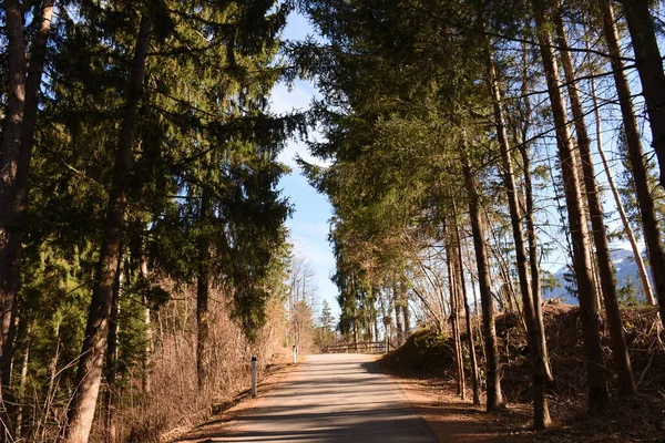 Teurnia Muur Stadsmuur Bos Straat Lendorf Spittal Der Drau Romeins — Stockfoto