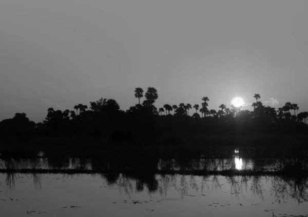 Göl Üzerinde Gün Batımı Ağaçların Silueti — Stok fotoğraf