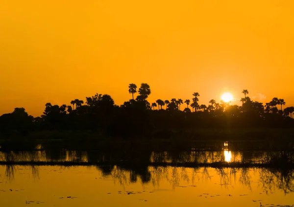 Sunset Lake Silhouette Trees — стокове фото