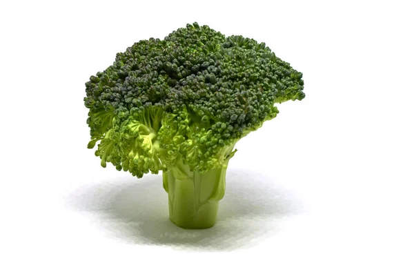 Beyaz Arka Planda Izole Edilmiş Taze Bir Brokoli — Stok fotoğraf