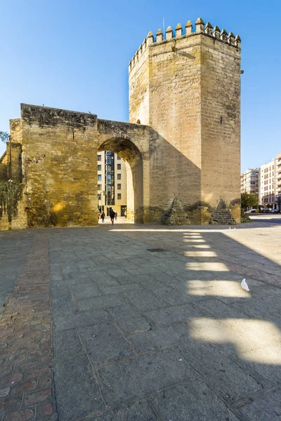 Malmuerta Tower Una Torre Vigilancia Situada Santa Marina Córdoba España —  Fotos de Stock