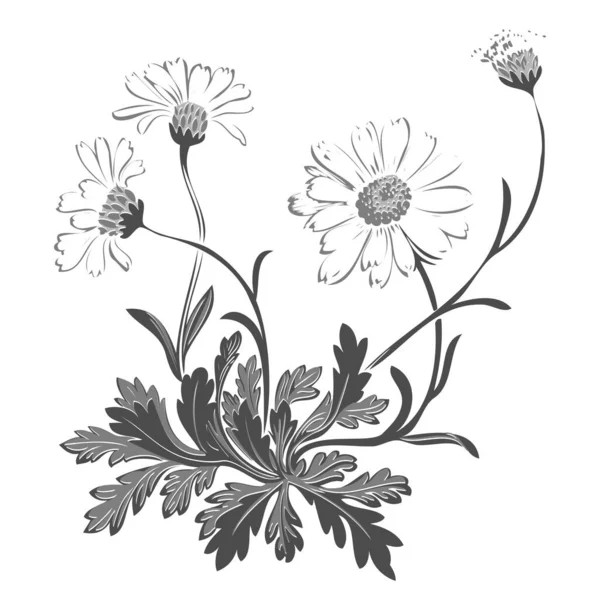 Handgetekende Illustratie Van Takje Met Bloemen Bladeren Barokke Vector Korenbloemen — Stockfoto