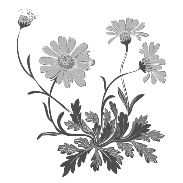 Handgetekende Illustratie Van Takje Met Bloemen Bladeren Barokke Vector Korenbloemen — Stockfoto