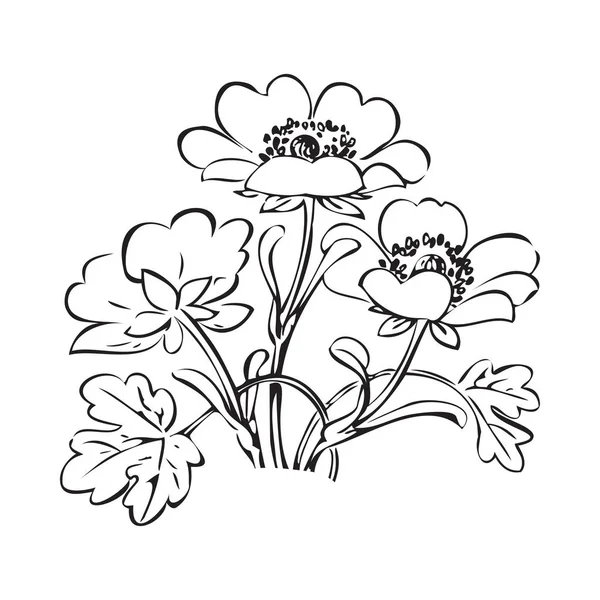 Arbusto Floral Retro Preto Vetor Fundo Branco Mão Desenhada Decorativa — Fotografia de Stock