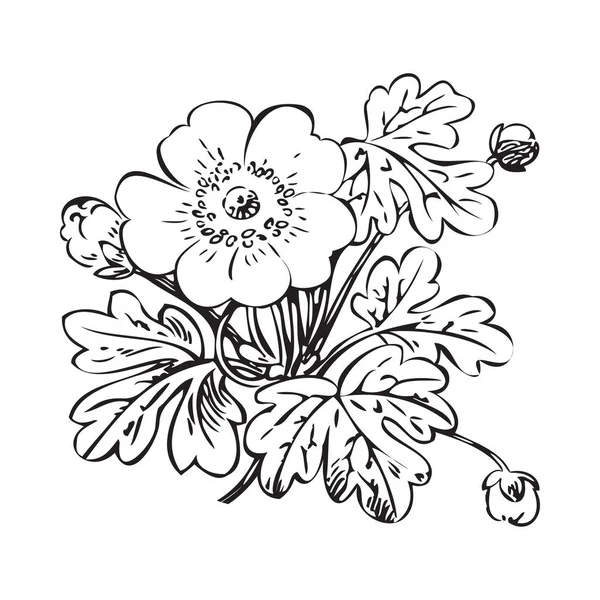 Kwiatowy Krzew Retro Czarny Białym Tle Wektor Ręcznie Rysowane Dekoracyjne — Zdjęcie stockowe