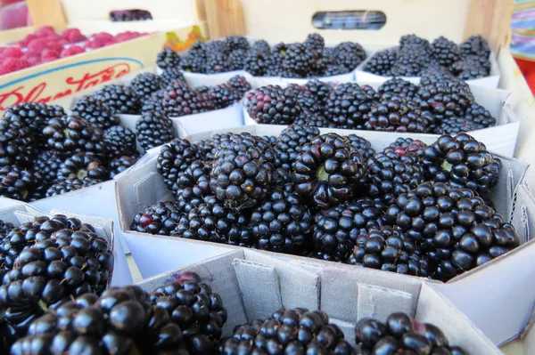 Mûre Fraîche Marché Alimentaire Bar City Monténégro — Photo