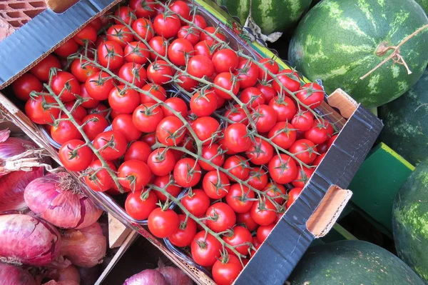 Eine Schachtel Kleiner Roter Tomaten Auf Dem Lebensmittelmarkt Bar City — Stockfoto