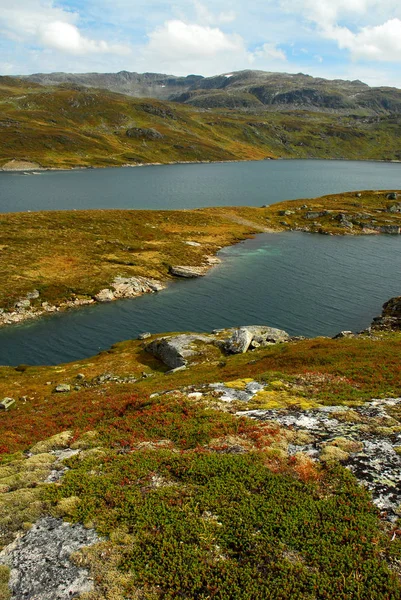 Norwegia Tle Krajobrazu — Zdjęcie stockowe