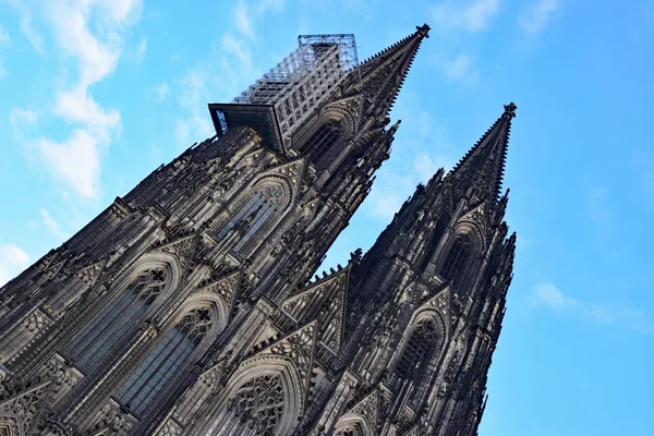 Felfüggesztett Állvány Kölni Katedrális — Stock Fotó