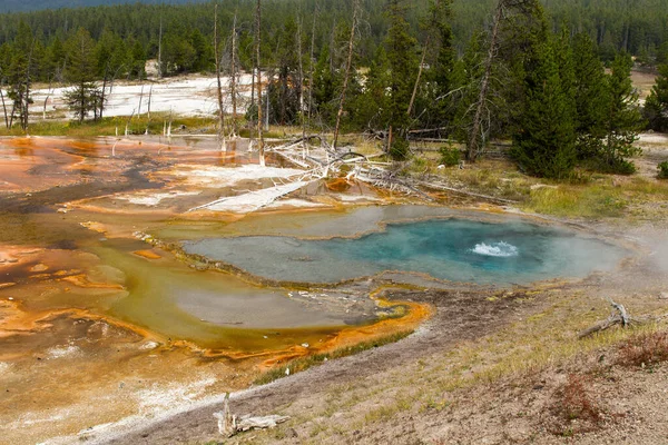 Firehole Spring Yellowstone National Park Wyoming Usa — Stock Photo, Image