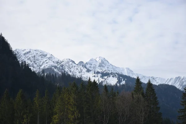 Vista Panoramica Maestosi Paesaggi Alpini — Foto Stock