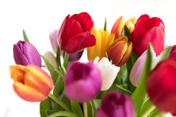 Close Beautiful Flowers Spring Mothers Day Birthday Greetings — Stock Photo, Image