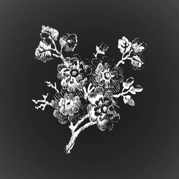 手工绘制的带有花朵的枝条 在黑色背景向量上孤立的复古图画 写实的草图 — 图库照片