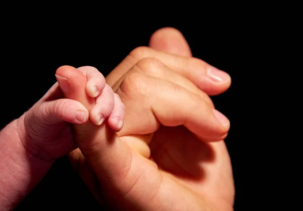 Mão Bebê Segurando Por Adulto — Fotografia de Stock