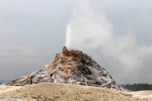 White Dome Geysir Yellowstone Nationalpark Wyoming Usa — Stockfoto