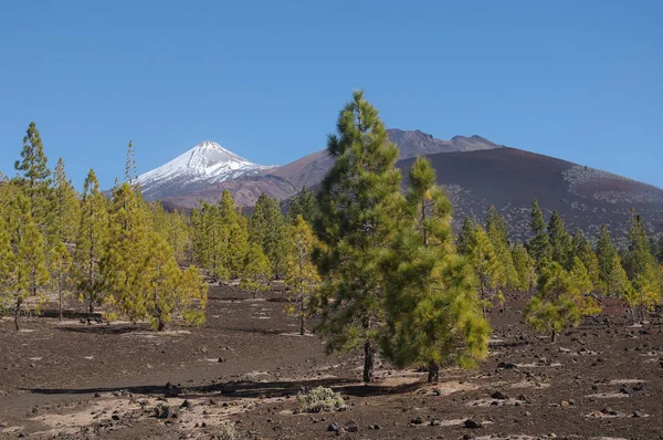 Les Cratères Pico Del Teide Pico Viejo Tenerife Îles Canaries — Photo