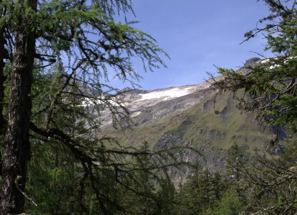 View Rauris Jungle — Stock Photo, Image