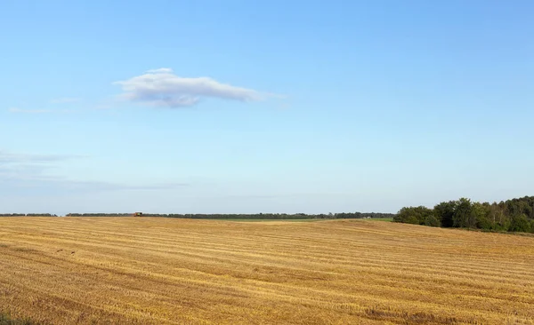 과밀을 수확하는 농경지입니다 밭에는 사용하지 그대로 있었다 Photo Landscape — 스톡 사진