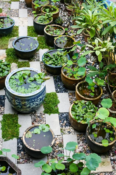 Planten Bloempotten Flowerbed Grootste Boeddhistische Tempel Zuidoost Azië Kek Lok — Stockfoto