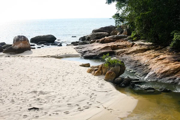 Pantai Tropis Malaysia Dengan Laut Jernih Latar Belakang Sempurna Untuk — Stok Foto