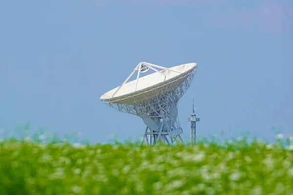 Transmission Broadcast Transmitter Electricity — Stock Photo, Image