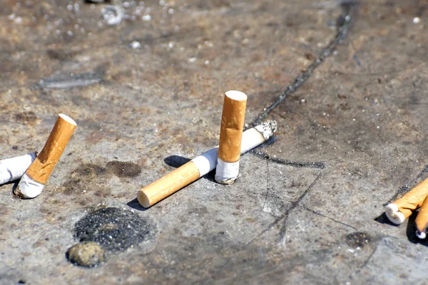 Cigarros Usados Cinzeiro — Fotografia de Stock