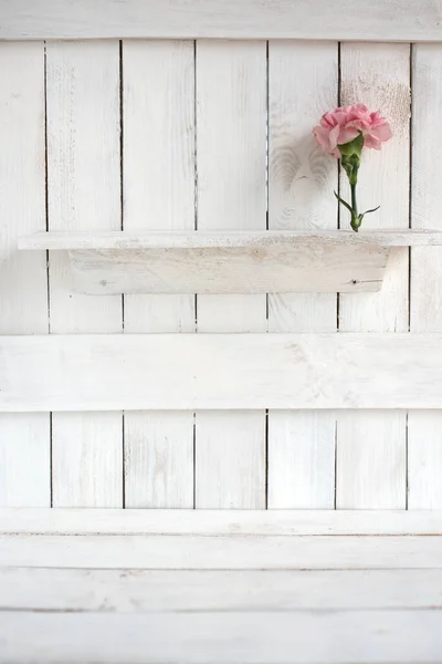 Fehér Függőleges Háttér Rózsaszín Szegfű Vintage Stílusban Egy Koncepció — Stock Fotó
