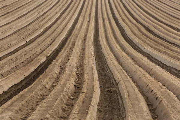 Vacker Utsikt Över Naturen — Stockfoto