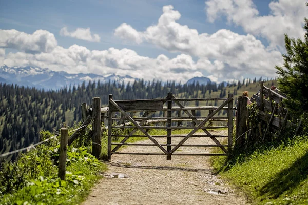 Alpy Alpská Krajina Blízkosti Muehlbach Hochkoenig Létě — Stock fotografie