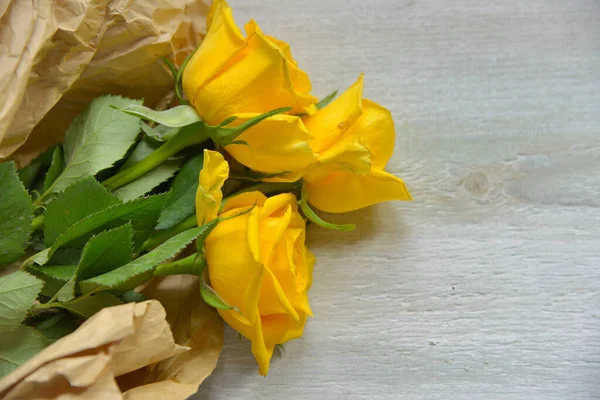 Желтые Розы — стоковое фото