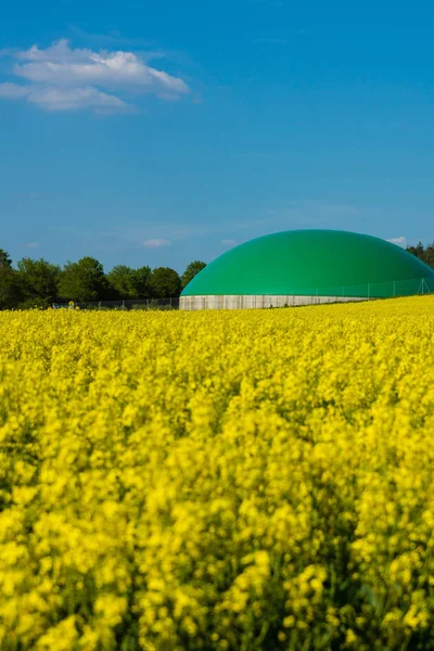 Geel Raapveld Biogasinstallatie — Stockfoto
