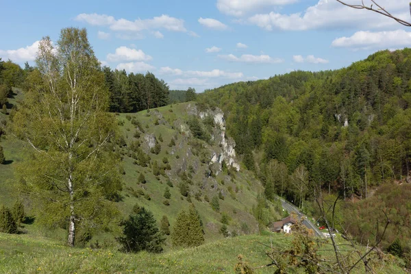 Typical Landscape Franconian Switzerland — Stock Photo, Image